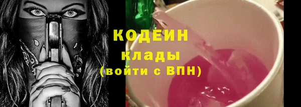сатива Костерёво