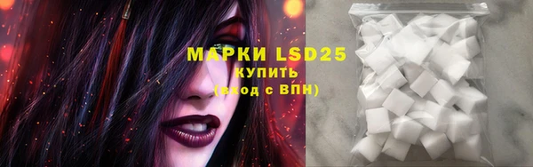 индика Ладушкин