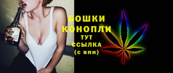 прущие грибы Корсаков