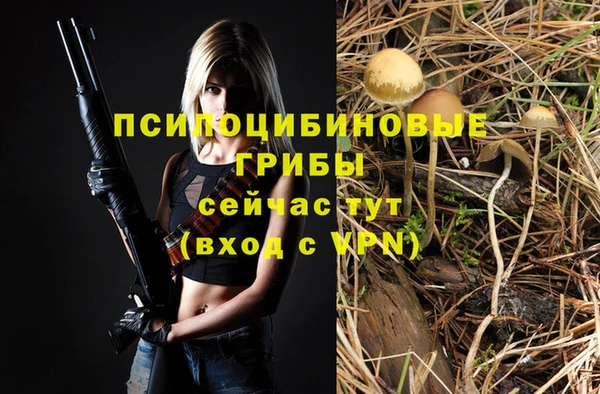 таблы Магас
